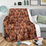 Irish Setter Full Face Blanket