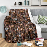 German Spaniel Full Face Blanket