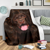 Labrador - Blanket - 1151