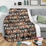 Finnish Lapphund Full Face Blanket