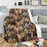 English Cocker Spaniel 2 Full Face Blanket