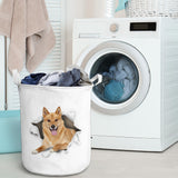 Finnish Spitz - Tornpaper - LB