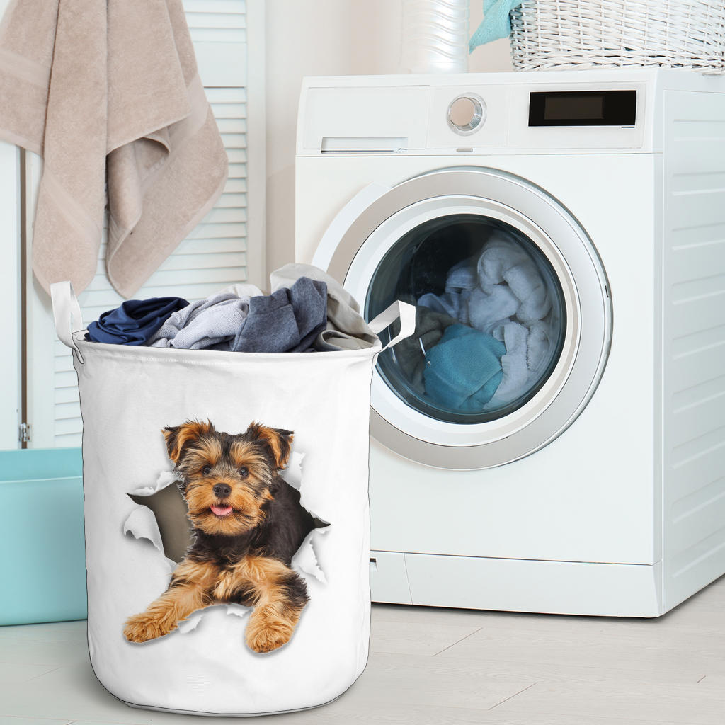 Yorkshire Terrier1 - Tornpaper - LB