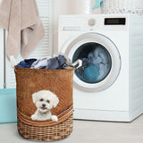 Bichon Frise - Rattan - LB