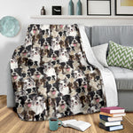 Border Collie Full Face Blanket