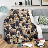 Labrador - Blanket - 1396