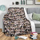 St Bernard Full Face Blanket