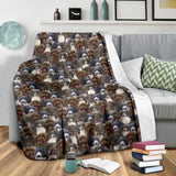 Spanish Water Dog Full Face Blanket