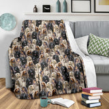 Afghan Hound Full Face Blanket