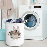 French Bulldog2 - Tornpaper - LB