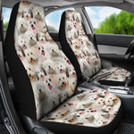 Coton de Tulear Full Face Car Seat Covers