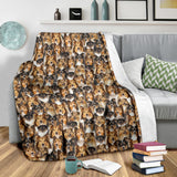 Shetland Sheepdog Full Face Blanket