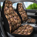 Chesapeake Bay Retriever Full Face Car Seat Covers