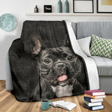 French Bulldog - Blanket - 1177