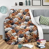 Poodle Full Face Blanket