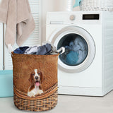 Welsh Springer Spaniel - Rattan - LB