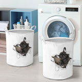 French Bulldog1 - Tornpaper - LB