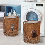 Sussex Spaniel - Rattan - LB