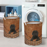 Labradoodle - Black - Rattan - LB