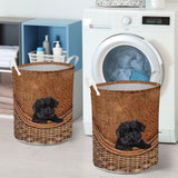 Affenpinscher - Rattan - LB