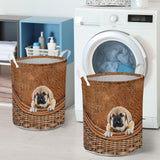 Spanish Mastiff - Rattan - LB