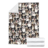 Border Collie - Blanket - 1358