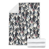 Boston Terrier - Blanket - 1320