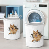 Finnish Spitz - Tornpaper - LB