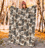 Shih Tzu Full Face Blanket