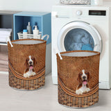 Welsh Springer Spaniel - Rattan - LB