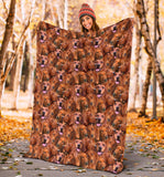 Redbone Coonhound Full Face Blanket