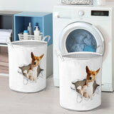 Basenji - Tornpaper - LB