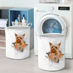 Yorkshire Terrier - Tornpaper - LB