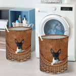 Rat Terrier - Rattan - LB