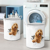 Goldendoodle - Tornpaper - LB