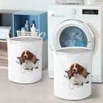 Welsh Springer Spaniel - Tornpaper - LB