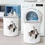 Border Collie2 - Tornpaper - LB