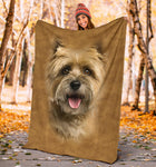 Cairn Terrier 2 Face Hair Blanket