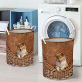 Rough Collie - Rattan - LB