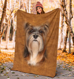 Lhasa Apso Face Hair Blanket