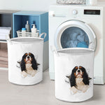 Cavalier King Charles - Tornpaper - LB