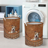 American Staffordshire Terrier - Rattan - LB