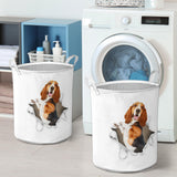 basset Hound - Tornpaper - LB