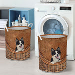 Tricolor Collie - Rattan - LB