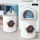 King Charles Spaniel - Tornpaper - LB