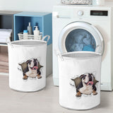 English Bulldog1 - Tornpaper - LB