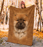 Chow Chow Face Hair Blanket