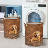 Golden Retriever - Rattan - LB