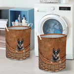 Australian Cattle Dog - Rattan - LB