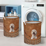 Goldendoodle2 - Rattan - LB